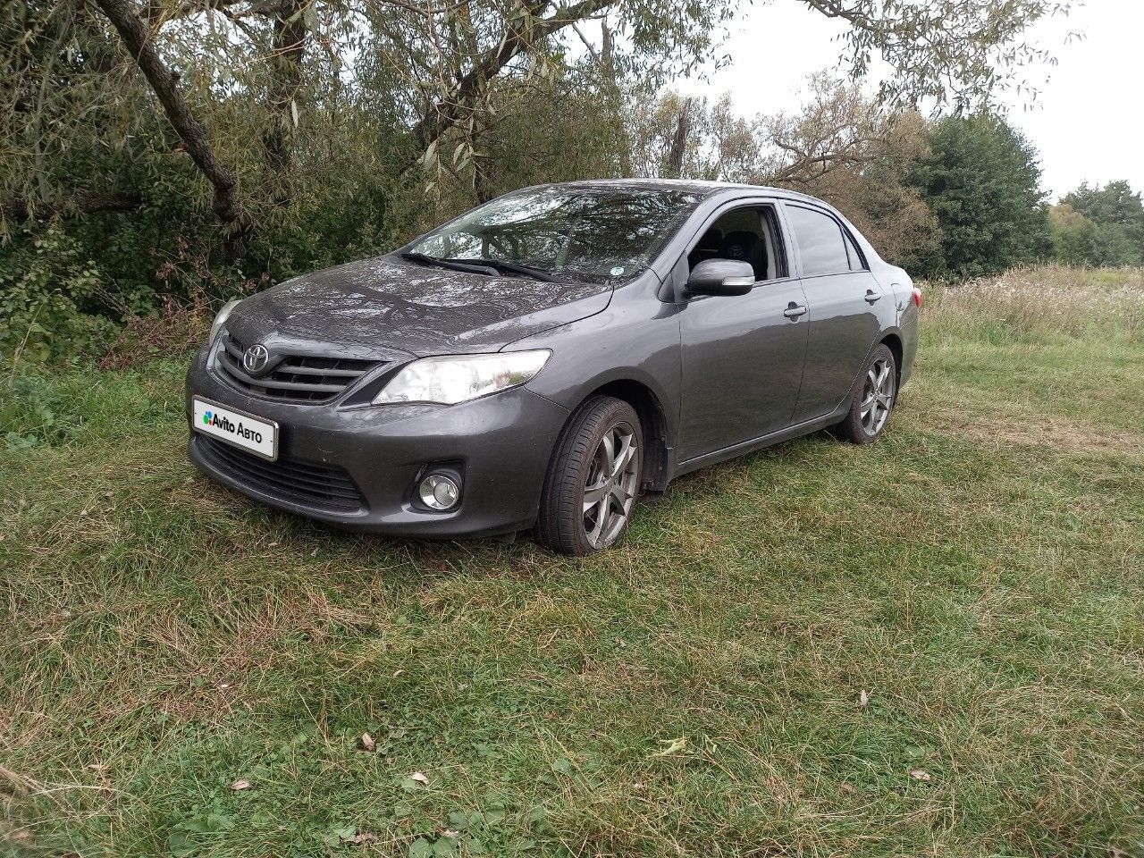 Toyota Corolla: фото владельца