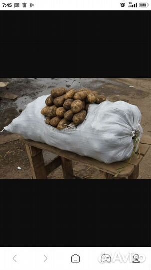 Продам картофель