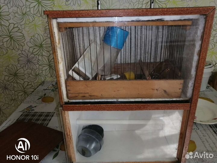 Ящик для переноски или продажи птичек