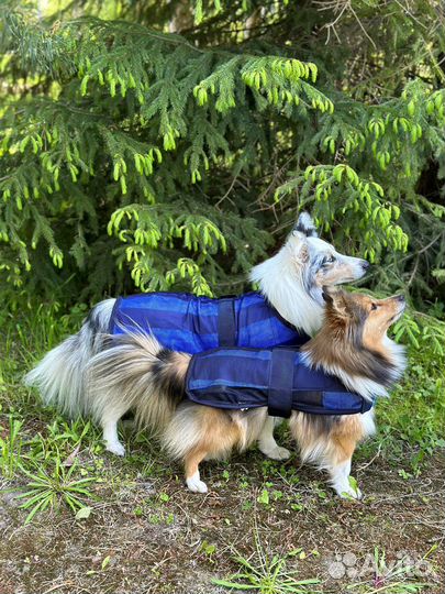 Охлаждающие попоны Cool on Track