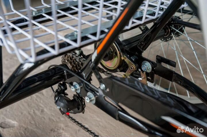 Трехколесный электровелосипед чемпион