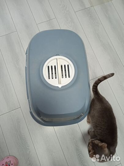 Закрытый лоток для кошек