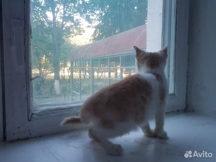 Милый малыш