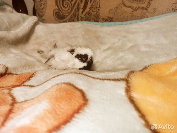 Птица игрушка ручной работы