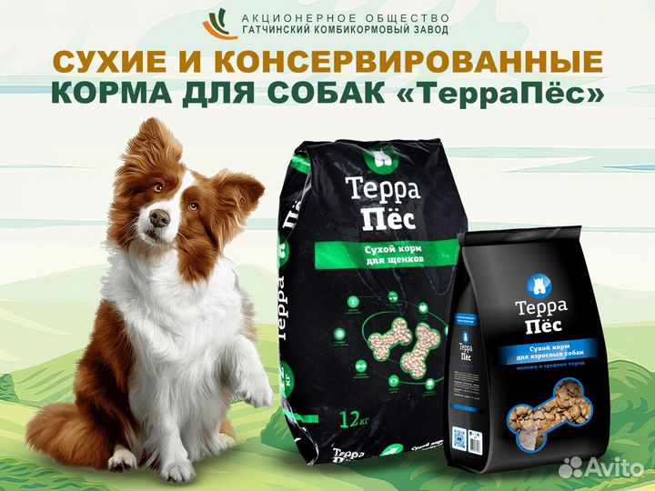 Премиальные корма для кошек и собак