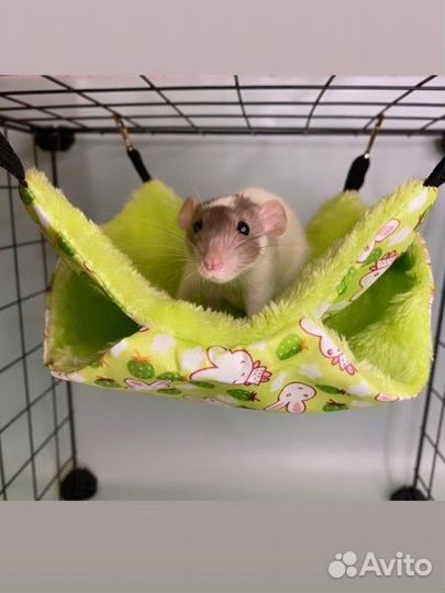 Клетка для грызунов и другие аксессуары. Новые