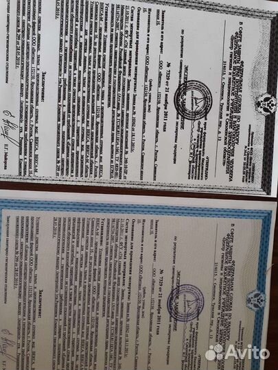 Мфу Принтер Samsung scx 4321