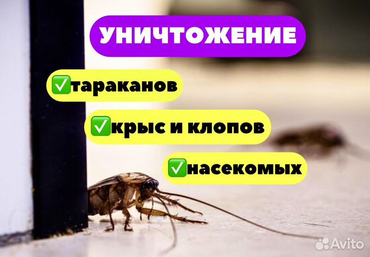 Уничтожение тараканов, блох, крыс, клопов Крым