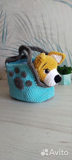 Щенок Корги