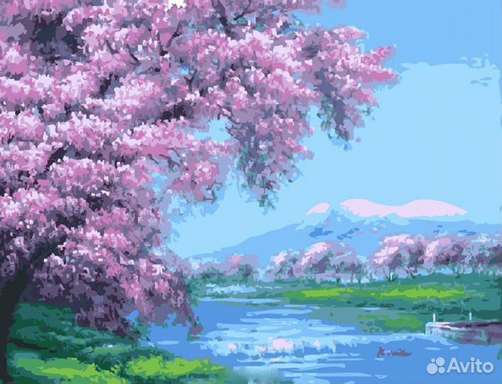 Картины по номерам 40х50 см 