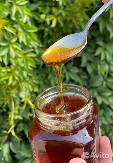 Мед. Урожай 2023г. Опт