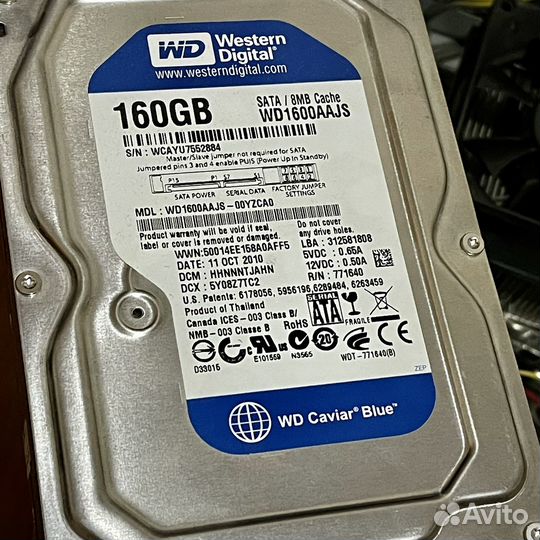 Жесткий диск WD Blue 160gb