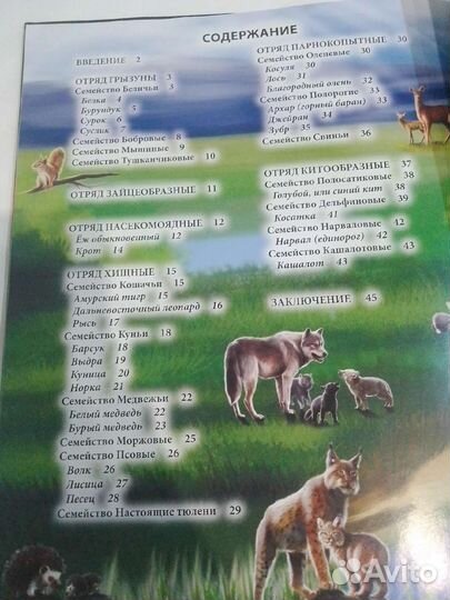 Энциклопедия 