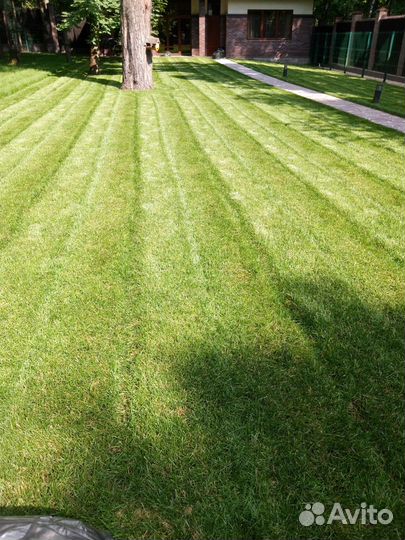 Помощник по хозяйству с проживанием