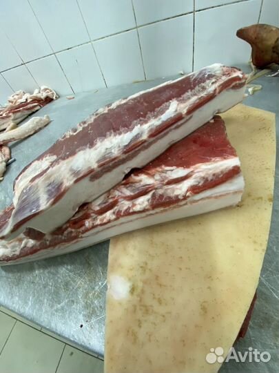 Пашина/Корейка