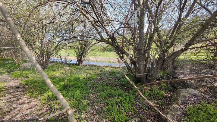 Участок 25 сот. (СНТ, ДНП)