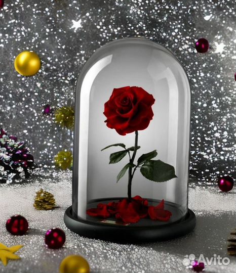 Стабилизированная Роза в колбе Без повода