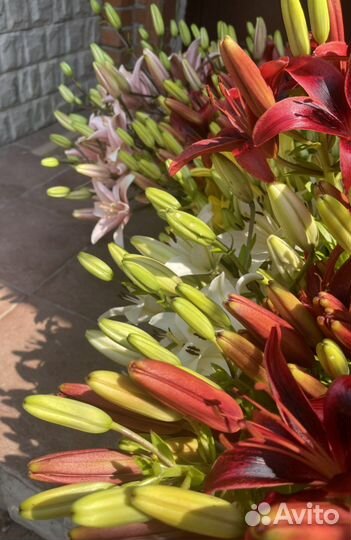Лилии и букеты из них