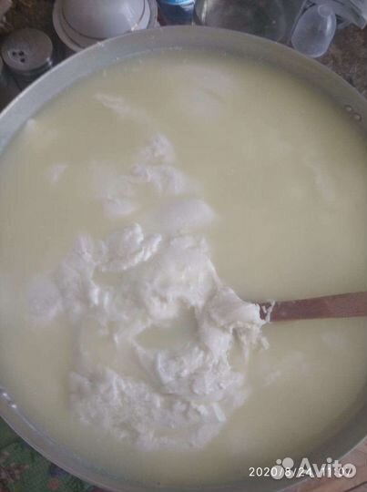Козье молоко опт, и розница творог брынза