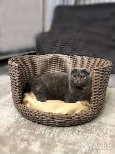 Лежанка для животных