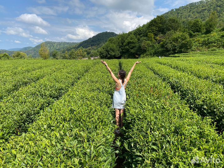 Отдых в Лоо у моря