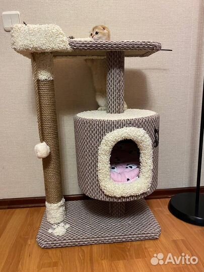 Домик для кошки