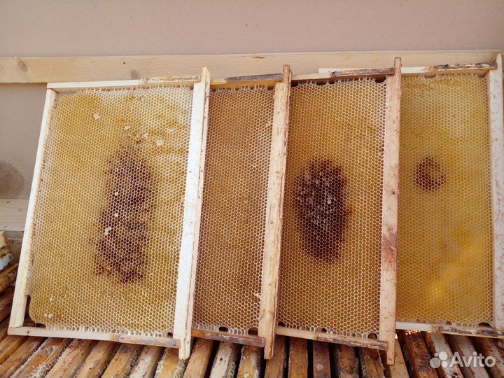 Рамки, Улья лежаки, нуклеусы 6 рамок ППУ, медонка