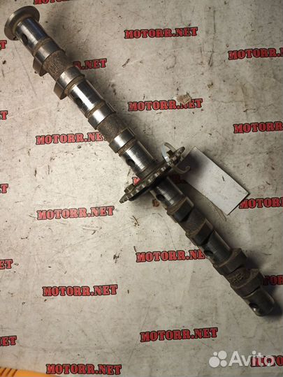 Распредвал впуск fzr600