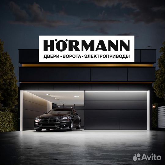 Секционные гаражные ворота Херман Horman 3000*2500