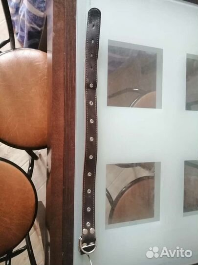 Ошейник для собак