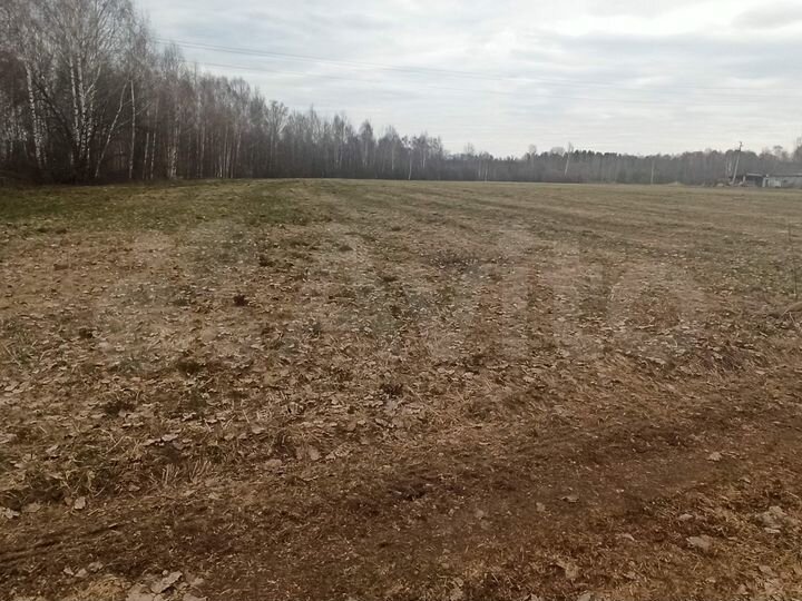 Участок 40 сот. (ИЖС)