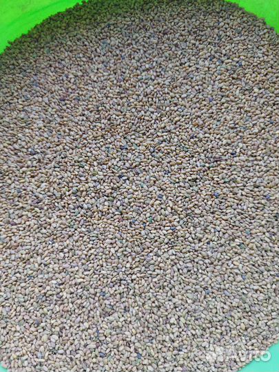 Кострец Люцерна Горчица Фацелия Козлятник Свёкла