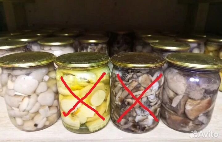 Грибы маринованные и сушеные