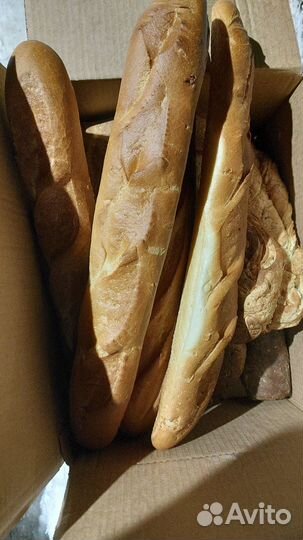 Еда для животных