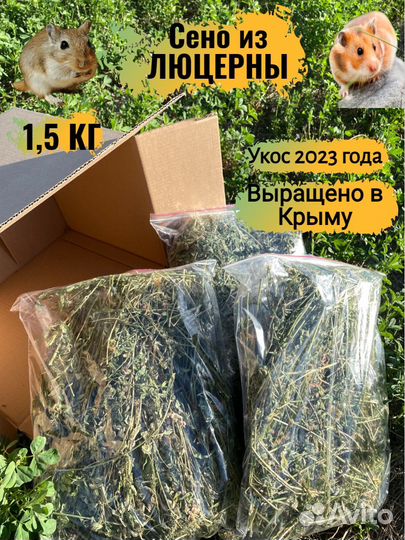 Сено для всех видов грызунов