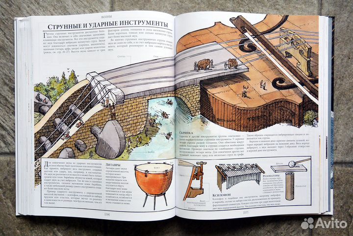 Как все устроено. Дэвид Маколи