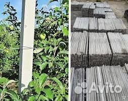 Виноградный столбик кол Черноморское