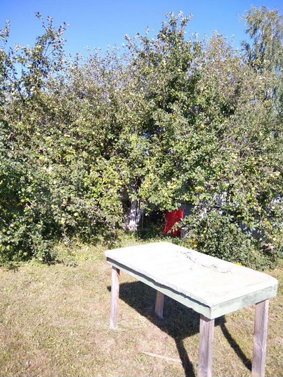 Дача 30 м² на участке 20 сот.