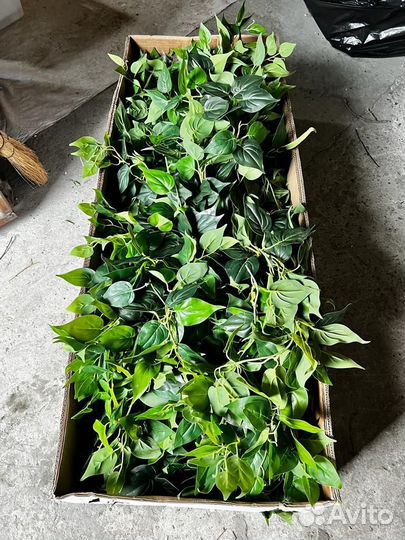 Зелень искуственная для декора