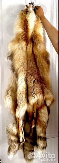 Шкуры лисы