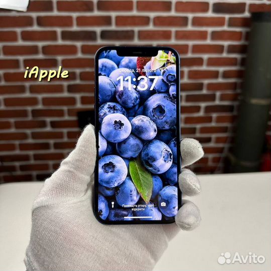 iPhone 12 mini, 256 ГБ