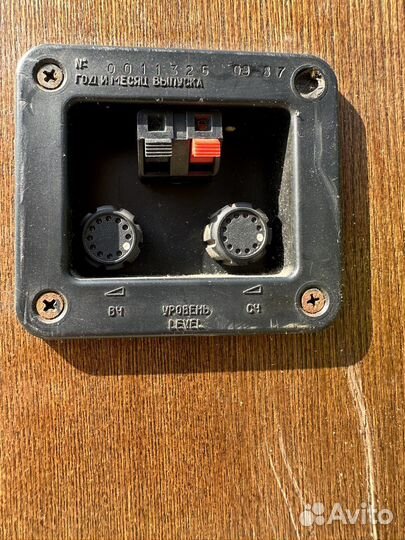 Колонки радиотехника s90b