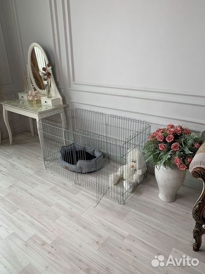 Клетка для собак