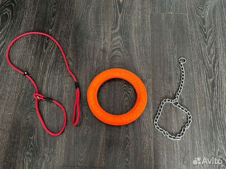 Кольцо,поводок, ошейник для собак