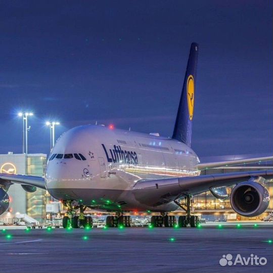 Английский язык (общий и авиационный) по скайп