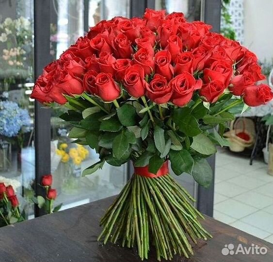 Розы высокие 150 160 170 180 190 200см