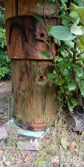 Колода-улей