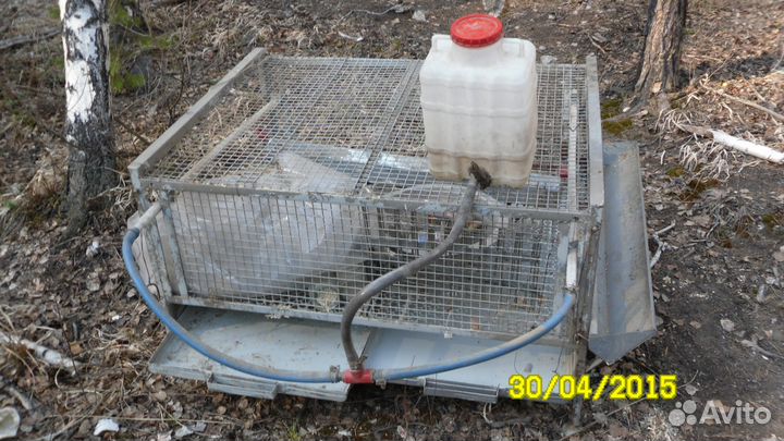 Клетка для цыплят бройлеров, кур