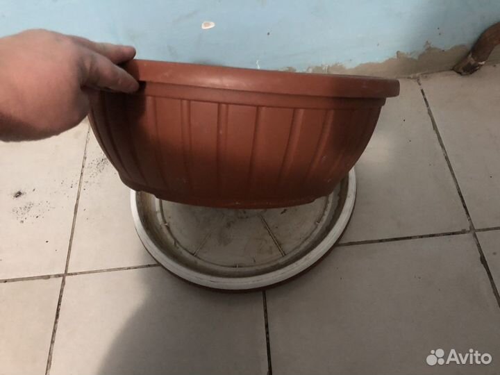 Горшки для цветов бесплатно