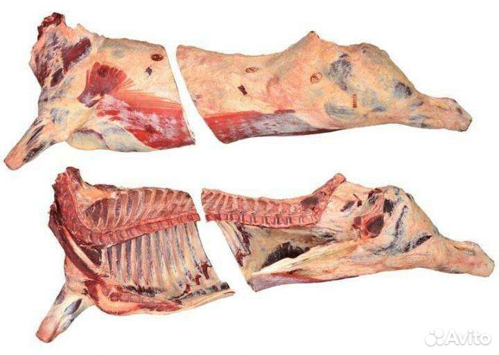 Мясо говядина домашняя